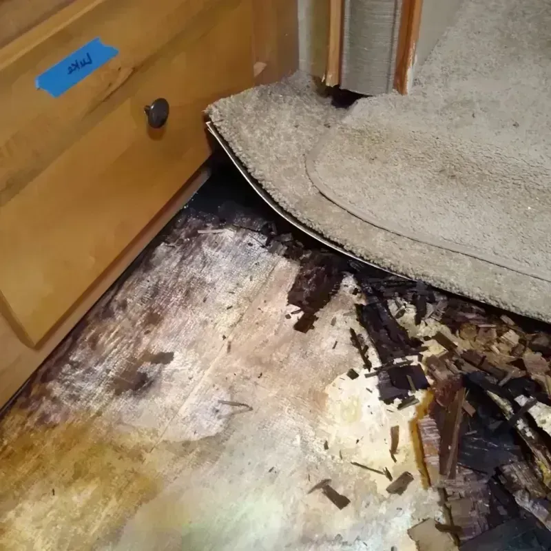 Wood Floor Water Damage in Clinton, MO